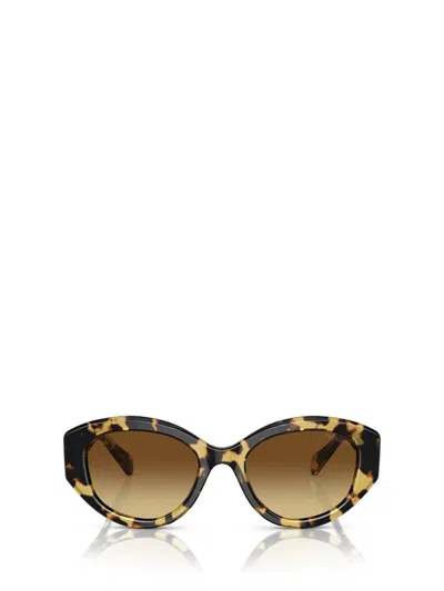 Swarovski Sunglasses In Medium Havana