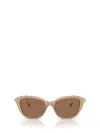 Swarovski Womens Brown Sk6010 Cat-eye Acetate Sunglasses In Opal Beige