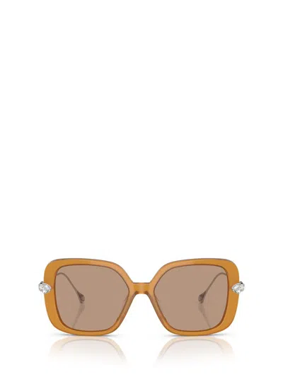 Swarovski Oversized Frame Sunglasses In Transparent Amber Brown