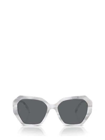 Swarovski Woman Sunglass Sk6017 In Dark Grey