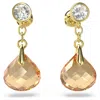 Swarovski Tessa Drop Earrings In Gold Tone