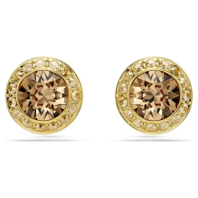Swarovski Una Angelic Stud Earrings In Brown