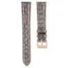 Swarovski Watch Strap In Brown