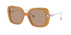 Swarovski Oversized Frame Sunglasses In Brown