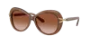 Swarovski Woman Sunglass Sk6026 In Gradient Brown