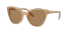 Swarovski Crystal-embellished Oversized Sunglasses In Brown Transition