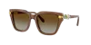 Swarovski Woman Sunglass Sk6041 In Gradient Brown Polar