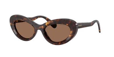 Swarovski 51mm Cat Eye Sunglasses In Brown