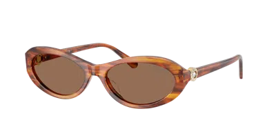 Swarovski Frau Sunglass Sk6069u In Brown