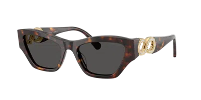 Swarovski Woman Sunglass Sk6076u In Brown