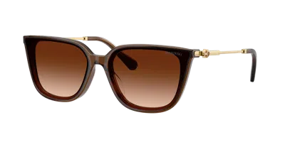 Swarovski Woman Sunglasses Sk6054d In Brown