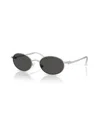 Swarovski Women's Oval Sunglasses, Sk7033