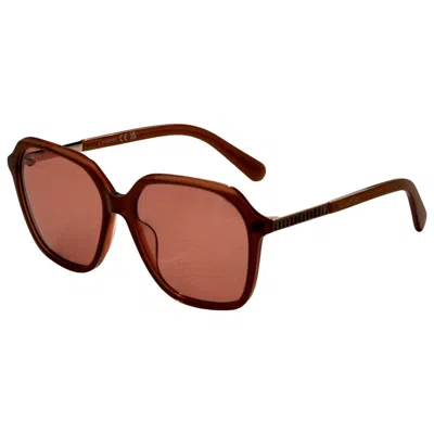 Swarovski Women's Sunglasses In Burgundy