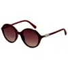 Swarovski Women's Sunglasses In Burgundy