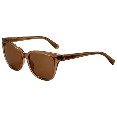 Swarovski Women's Sunglasses In Brown
