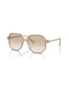 Swarovski Woman Sunglasses Sk6003 In Opaline Light Brown
