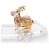 Swarovski Zodiac Rabbit Figurine In Gold
