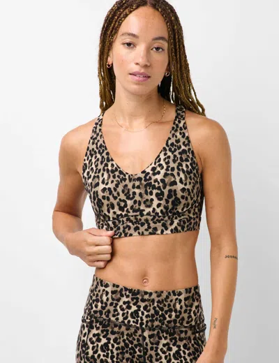 Sweaty Betty Power Pulse Piping Bra Brown Ink Leopard Print In Animal Print