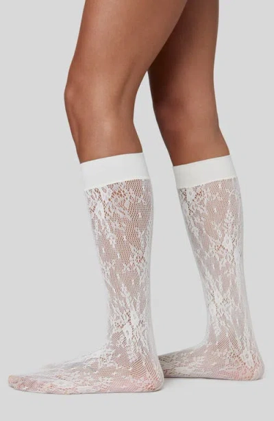 Swedish Stockings Rosa Lace Knee High Socks In White