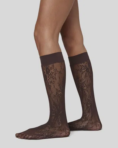 Swedish Stockings Rosa Lace Knee-highs In Brown