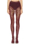 Swedish Stockings Rosa Lace Tights In Multi
