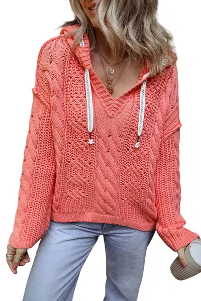 Sweet Lover Fashion Coral Knit Drawstring Hooded Sweater In Strawberry In Red