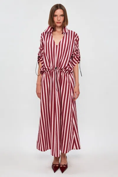 S/w/f Boutique Clinched Waist Midi Dress In Burgundy