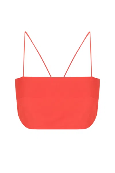 S/w/f Boutique Crop Top