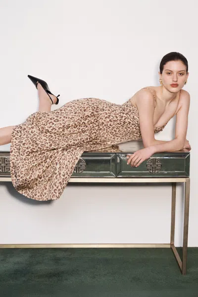 S/w/f Boutique Fitted Midi In Brown