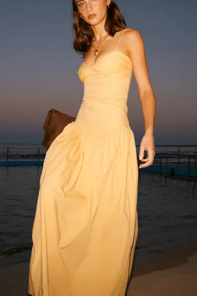 S/w/f Boutique Fitted Midi In Brown