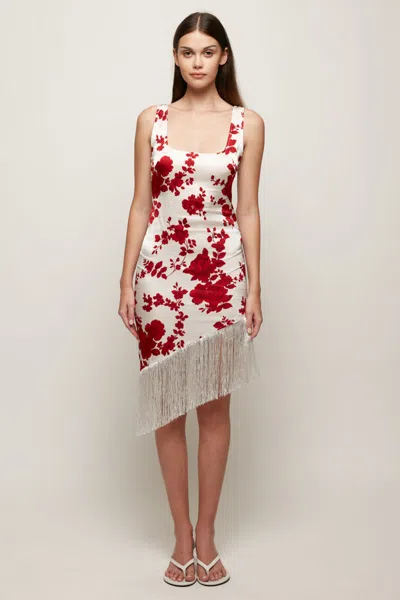 S/w/f Boutique Fringe Hem Dress In Multi