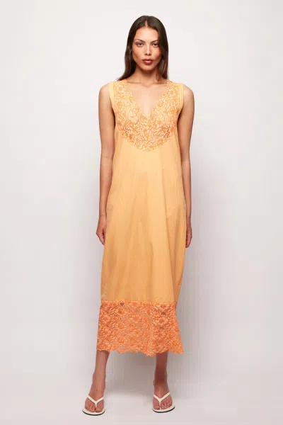 Lace Trim Midi Dress In Multi from S/W/F