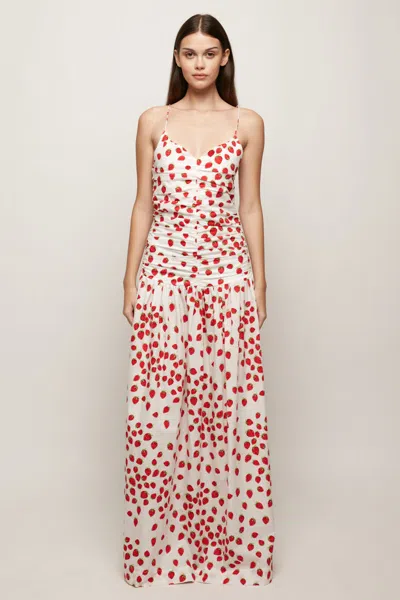 S/w/f Boutique Ruched Bodice Maxi