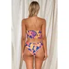 Swim Systems Hazel Hipster In Royal Tropics