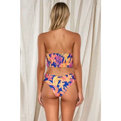Swim Systems Hazel Hipster In Royal Tropics