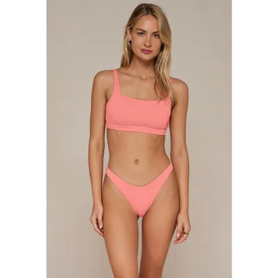 Swim Systems Paige Bikini Swimsuit Top In Coral Rio Rib