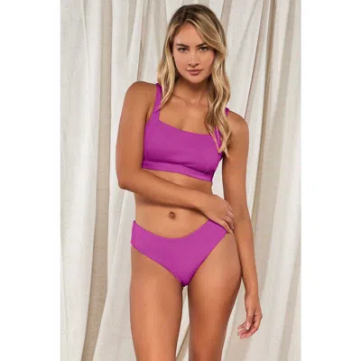 Swim Systems Paige In Orchid Rio Rib