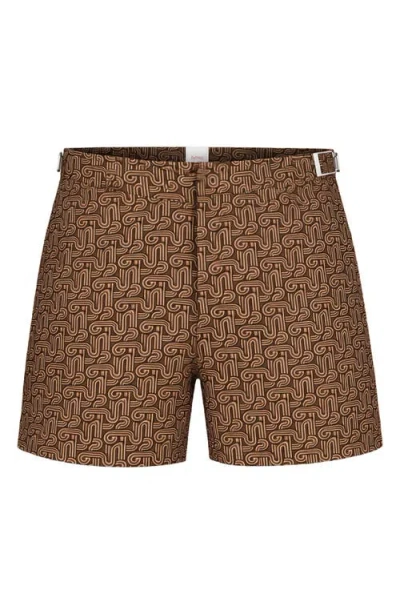 Swims Breeze Swim Trunks In Brown