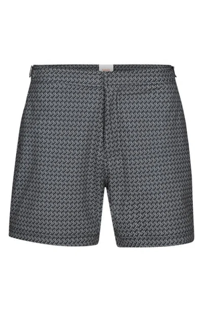 Swims Breeze Swim Trunks In Gray