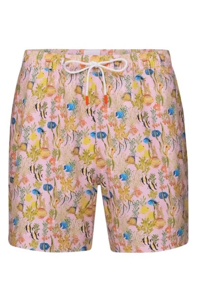 Swims Breeze Swim Trunks In Multi
