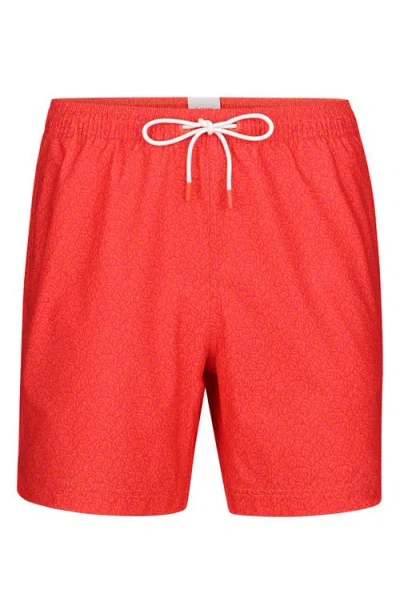 Swims Breeze Swim Trunks In Red