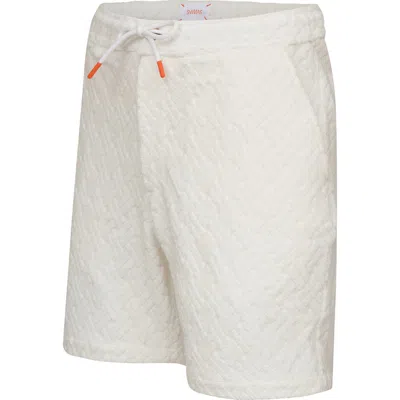 Swims Breeze Velour Swim Trunks In Multi