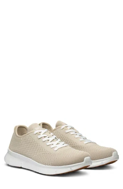 Swims Mare Knit Trainer Sneaker In Gray