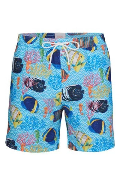 Swims Paros Printed Swim Trunks In Blue