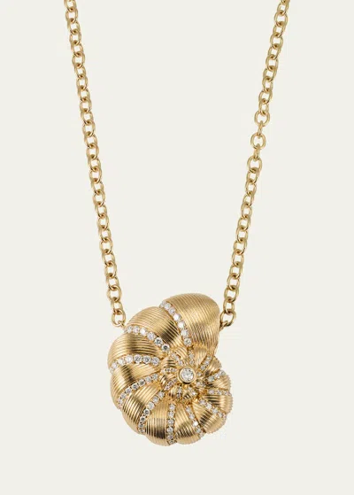Sydney Evan 14k Fluted Nautilus Shell Necklace In Yg