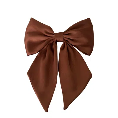 Sylki Women's Hair Bow Clip - Brown