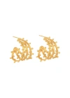Sylvia Toledano Gold Hoops Earrings