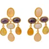 Sylvia Toledano Valse Earrings In Brown