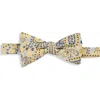 Synrgy By Dxl Big & Tall Springtime Paisley Bow Tie
