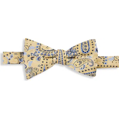 Synrgy By Dxl Big & Tall Springtime Paisley Bow Tie